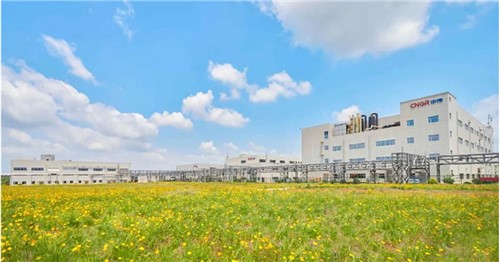 連續(xù)三年排名穩(wěn)步提升！中偉股份入選2025年中國(guó)民營(yíng)企業(yè)500強(qiáng)